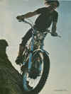 ossa350mardescente.jpg (167494 octets)