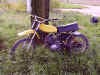 yz360_2.jpg (167900 octets)